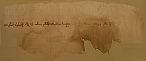 Textile Fragment by Unknown Artist