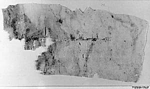 Textile Fragment by Unknown Artist