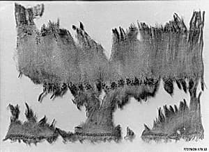 Textile Fragment by Unknown Artist
