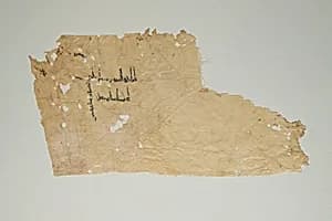 Textile Fragment by Unknown Artist