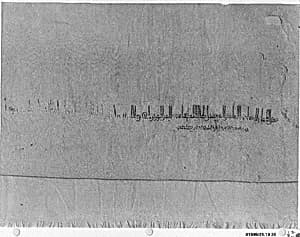 Textile Fragment by Unknown Artist