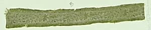 Textile Fragment by Unknown Artist
