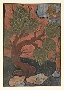 Tree on a River Bank by Unknown Artist