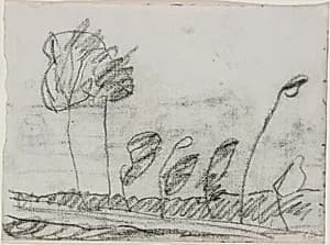 Seven Trees