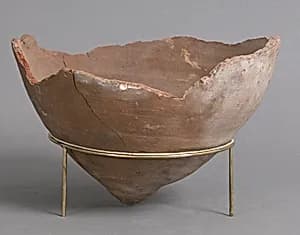 Amphora Fragment by Unknown Artist