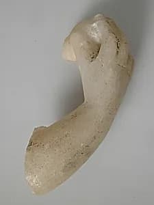 Arm and Hand Fragment by Unknown Artist