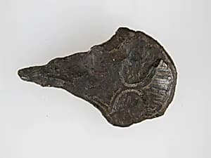 Belt Buckle Tongue by Unknown Artist