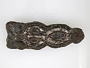 Belt Plate by Unknown Artist