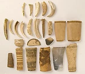 Bone Fragments by Unknown Artist