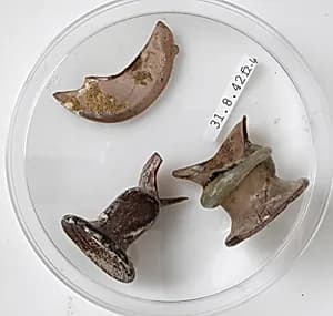 Bottle Rim Fragments by Unknown Artist