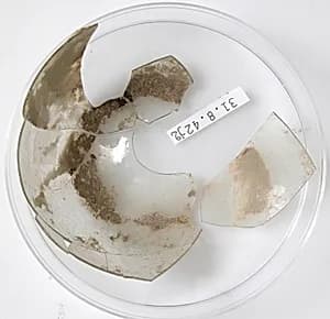 Bottom of a Vessel by Unknown Artist