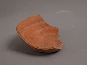 Bowl Fragment by Unknown Artist