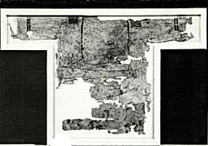 Dress Fragments by Unknown Artist