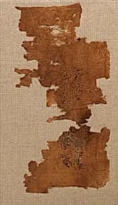 Dress Fragments by Unknown Artist