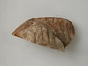 Foot Fragment by Unknown Artist