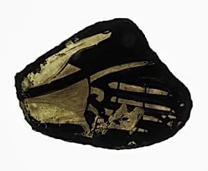 Fragment by Unknown Artist