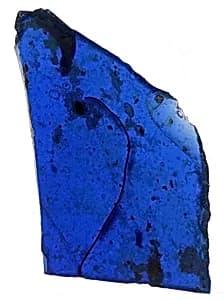 Fragment by Unknown Artist