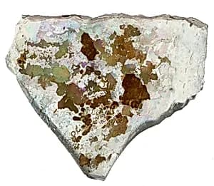 Fragment by Unknown Artist