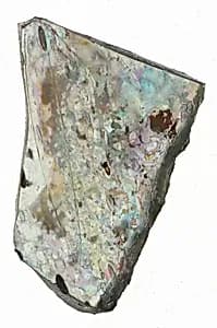 Fragment by Unknown Artist