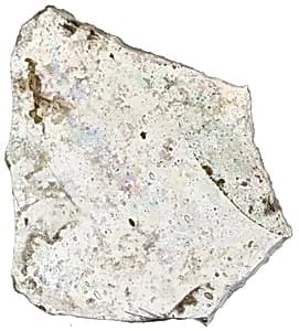 Fragment by Unknown Artist