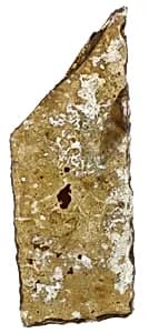 Fragment by Unknown Artist