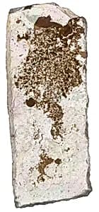 Fragment by Unknown Artist