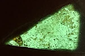 Fragment by Unknown Artist