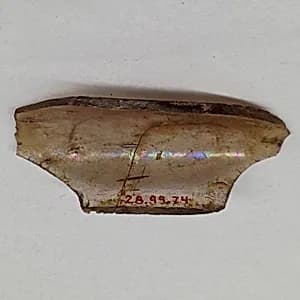 Fragment by Unknown Artist