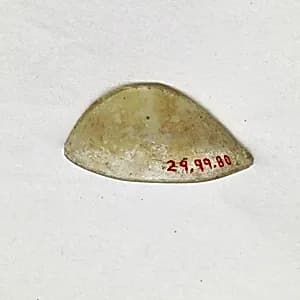 Fragment by Unknown Artist