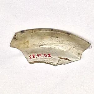 Fragment by Unknown Artist