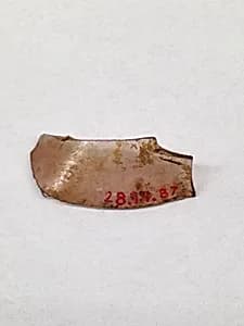 Fragment by Unknown Artist