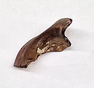 Fragment by Unknown Artist