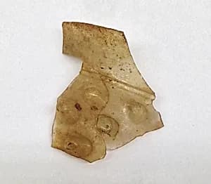 Fragment by Unknown Artist