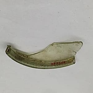 Fragment by Unknown Artist