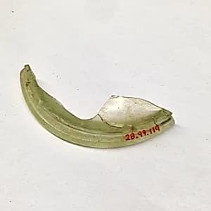 Fragment by Unknown Artist