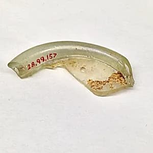 Fragment by Unknown Artist