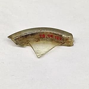 Fragment by Unknown Artist