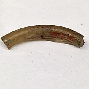 Fragment by Unknown Artist