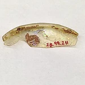 Fragment by Unknown Artist