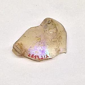 Fragment by Unknown Artist