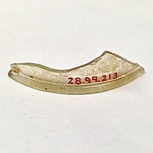 Fragment by Unknown Artist