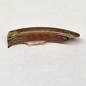Fragment by Unknown Artist