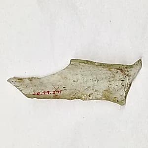 Fragment by Unknown Artist