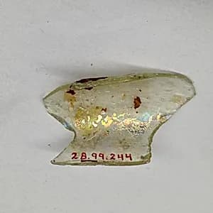 Fragment by Unknown Artist