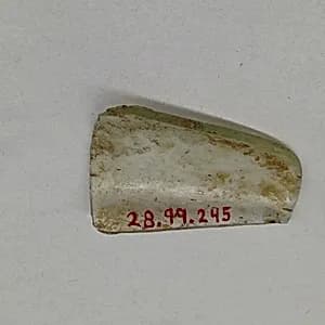 Fragment by Unknown Artist