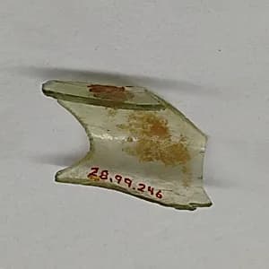 Fragment by Unknown Artist