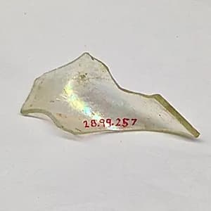 Fragment by Unknown Artist