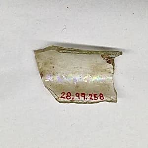 Fragment by Unknown Artist