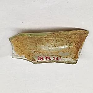 Fragment by Unknown Artist