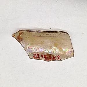Fragment by Unknown Artist